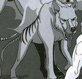Thylacine.JPG