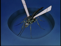 Robotic Mosquito.png